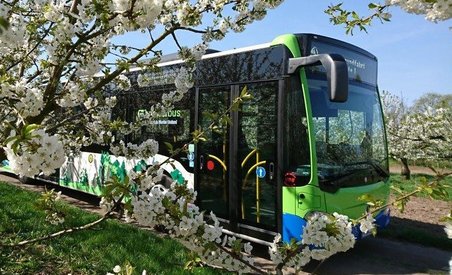 Mit dem Bus von Hof zu Hof auf dem Panoramaweg Werderobst