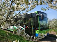 Blütenbus der regiobus